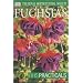 Fuchsias (RHS Practicals)