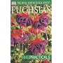 Fuchsias (RHS Practicals)