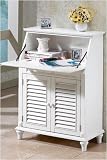 Savannah Louvered-door Double Secretary Desk