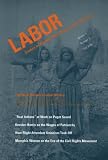 The New Women's Labor History (Labor Studies in Working-Class History of the Americas)