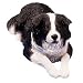 Border Collie Original Size Sculpture by Sandicast