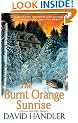 The Burnt Orange Sunrise (Berger and Mitry Mysteries)