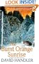 The Burnt Orange Sunrise: A Berger and Mitry Mystery (Berger and Mitry Mysteries)