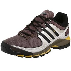 adidas Men's Terrex Low Gtx M Hiking Shoe