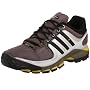 adidas Men's Terrex Low Gtx M Hiking Shoe