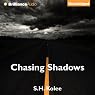 Chasing Shadows: Shadow Series, Book 2