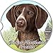E&S Pets German Shorthaired Pointer Coaster, 3