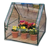 Taylor Precision GH1 Green Living Mini Green House with Digital Thermometer and Hygrometer