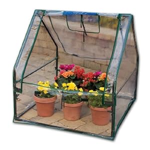 Taylor Precision Green Living Mini Green House with Digital Thermometer and Hygrometer by 