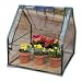 Taylor Precision GH1 Green Living Mini Green House with Digital Thermometer and Hygrometer