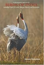 Photographic Guide to the Birds of India: Including Nepal, Sri Lanka, Bhutan, Pakistan and Bangladesh