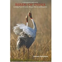 Photographic Guide to the Birds of India: Including Nepal, Sri Lanka, Bhutan, Pakistan and Bangladesh
