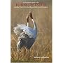 Photographic Guide to the Birds of India: Including Nepal, Sri Lanka, Bhutan, Pakistan and Bangladesh