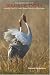Photographic Guide to the Birds of India: Including Nepal, Sri Lanka, Bhutan, Pakistan and Bangladesh