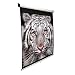 Elite Screens Manual Pull Down Projection Screen, 4:3 Aspect Ratio-80in (Matte White)