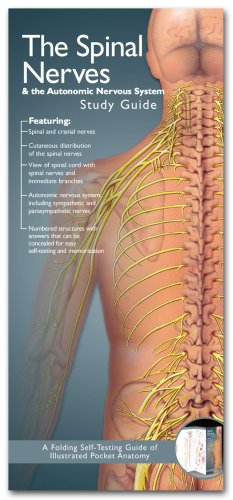 Anatomical Chart Company's Illustrated Pocket Anatomy: The Spinal Nerves & the Autonomic Nervous System Study Guide