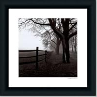 Corner Fence By Harold Silverman Art Print Poster Picture Framed Decor 18X18
