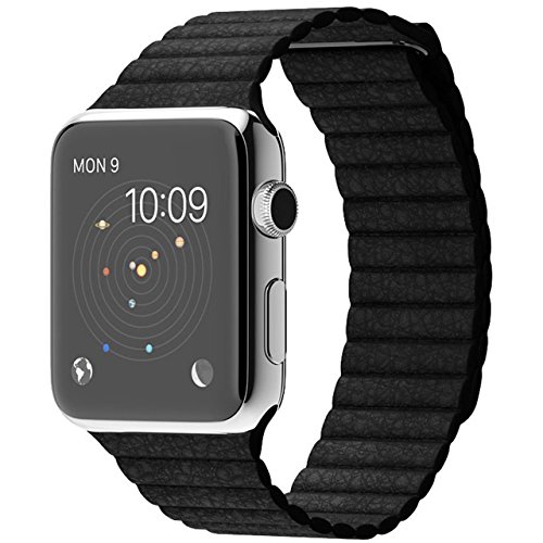 Apple 42MM LargeWatch Stainless Steel Case - Steel/Black Modern Loop
