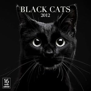 2012 Black Cats Wall calendar