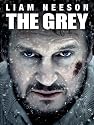The Grey