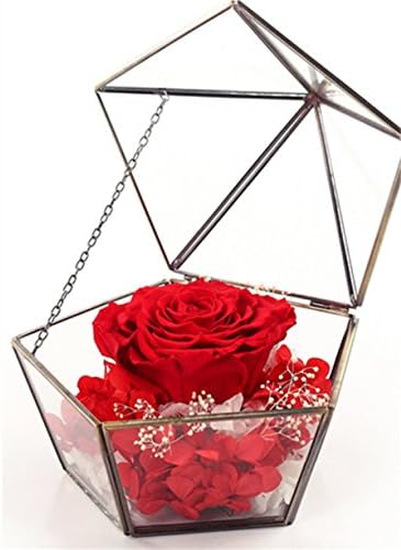 Five Star Glass Hanabusa Never Withered Roses, Upscale Immortal Flowers, Fresh Roses, Flowers, Gift Boxes, Gift Ideas (red)
