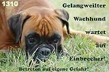 Metall - Warnschild Boxer