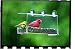 Outdoor Living : Cardinal Classic