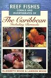 Reef fishes, corals and invertebrates of the Caribbean including Bermuda