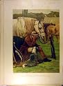 PAINTING EQUINE MAN DOG BEST FRIENDS ANIMAL OLD PRINT
