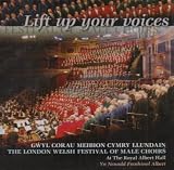 Festival Choir 2004 / Alwyn Humphreys - Lift Up Your Voices - 2004 London Welsh Festival of Male Choirs at Royal Albert Hal ( Audio CD ) - B000FGG5JO