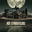 cover of Ken Stringfellow - Danzig In The Moonlight