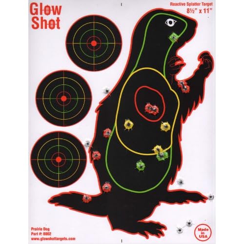 rifle targets