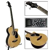 Bass Guitar Acoustic Electric