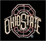 American Lighting LLC 142-0803 Ohio State Buckeyes NCAA Lighting Motif Rope Light