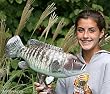 Taxidermy 20" Fiberglass Blackfish Tautog Statue