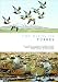 Birds of Turkey (Helm Field Guides) by Geoff Welch