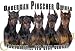 Doberman Pinscher Mouse Pad Dog Mousepad