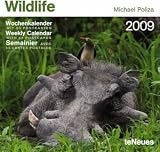 2009 Wildlife Weekly Postcard Calendar