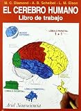 El cerebro humano : libro de trabajo