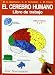 El cerebro humano : libro de trabajo