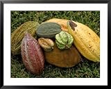 Art.com