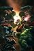 Search : New Avengers, Vol. 5
