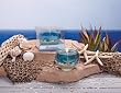Caribbean Coral Reef Candle - Sea Life
