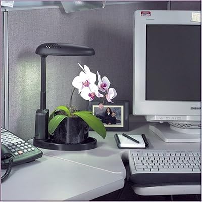 Indoor Grow Light