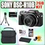 Sony Cybershot DSC-H10/B 8.1MP Digital Camera + 2GB Accessory Outfit - Sony ASONDSCH10BK1