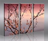 Japan Japon * Tableau sur Toile avec Cadre en Bois Poster Tableaux
