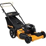 Poulan Pro PR625Y22RKP 22 inch 190cc Briggs & Stratton 625 Series Gas Powered Side Discharge/Mulch/Bag FWD Self Propelled Lawn Mower With Electric Start