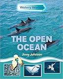 The Open ocean