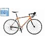 Schwinn Fastback Pro Adult Road Bike