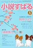 小説すばる 2010年 04月号 [雑誌] 画像